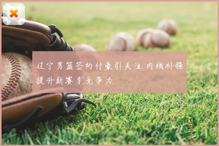 辽宁男篮签约付豪引关注 内线补强提升新赛季竞争力