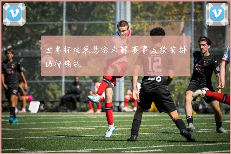 世界杯结束悬念未解 赛事后续安排仍待确认