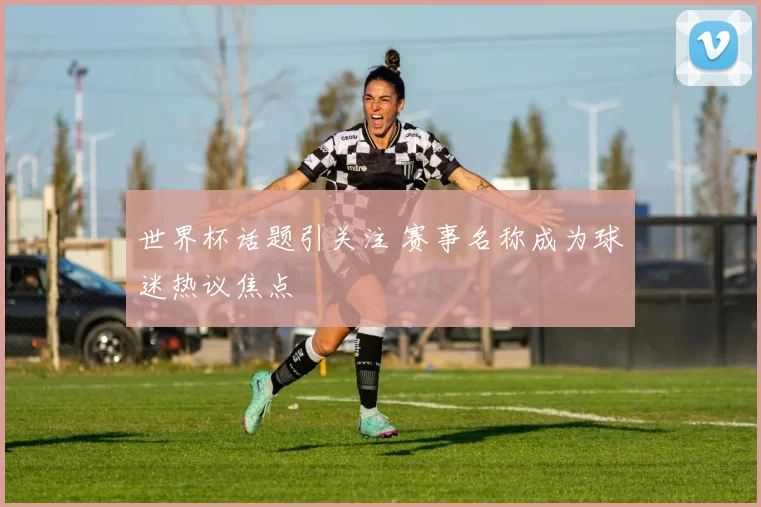 世界杯话题引关注 赛事名称成为球迷热议焦点